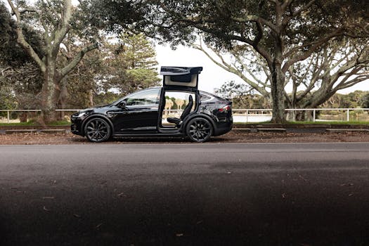 Tesla Model X with open falcon wing doors parked in a scenic Sydney park setting.